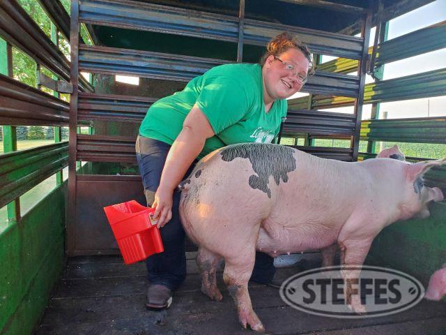 Halie Coulter, Competitive Swine, Barrow,